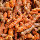 10 Yellow Turmeric Live Roots, Outdoor Garden Plant
