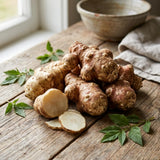 4 Oz Sunchoke Tubers for Planting, Jerusalem Artichoke Roots