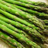 20 Green Asparagus Live Roots, Ready to Grow Plant