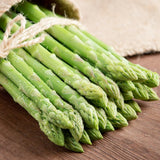 20 Green Asparagus Live Roots, Ready to Grow Plant