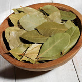 2 Laurus Nobilis Live Plants, Bay Leaf Herb Tree, 4-7 Inch Tall
