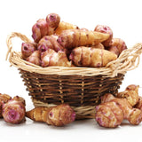 5 Jerusalem Artichoke Tubers, Raised Bed Vegetable Roots