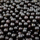 Black Jaboticaba Tree, Live Starter Plant, 1 Ft Tall