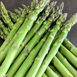 20 Green Asparagus Live Roots, Ready to Grow Plant