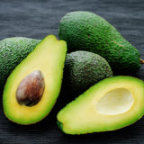 HASS Avocado Tree Plant Live, Nursery Grown Tree, 5-7 Inch Tall