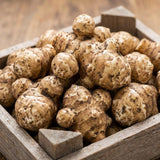 4 oz Jerusalem Artichoke Roots for Planting, Sunchoke Tubers Large Size