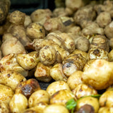 4 oz Jerusalem Artichoke Roots for Planting, Sunchoke Tubers Large Size